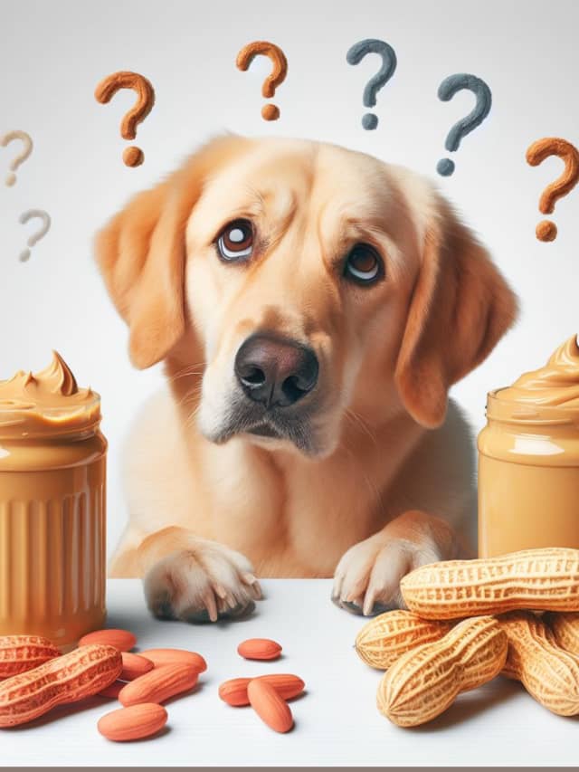 Can Dogs Eat Peanut Butter? A Complete Guide